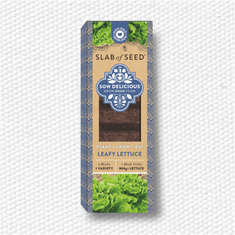 Sow Delicious Luscious Slab of Lettuce