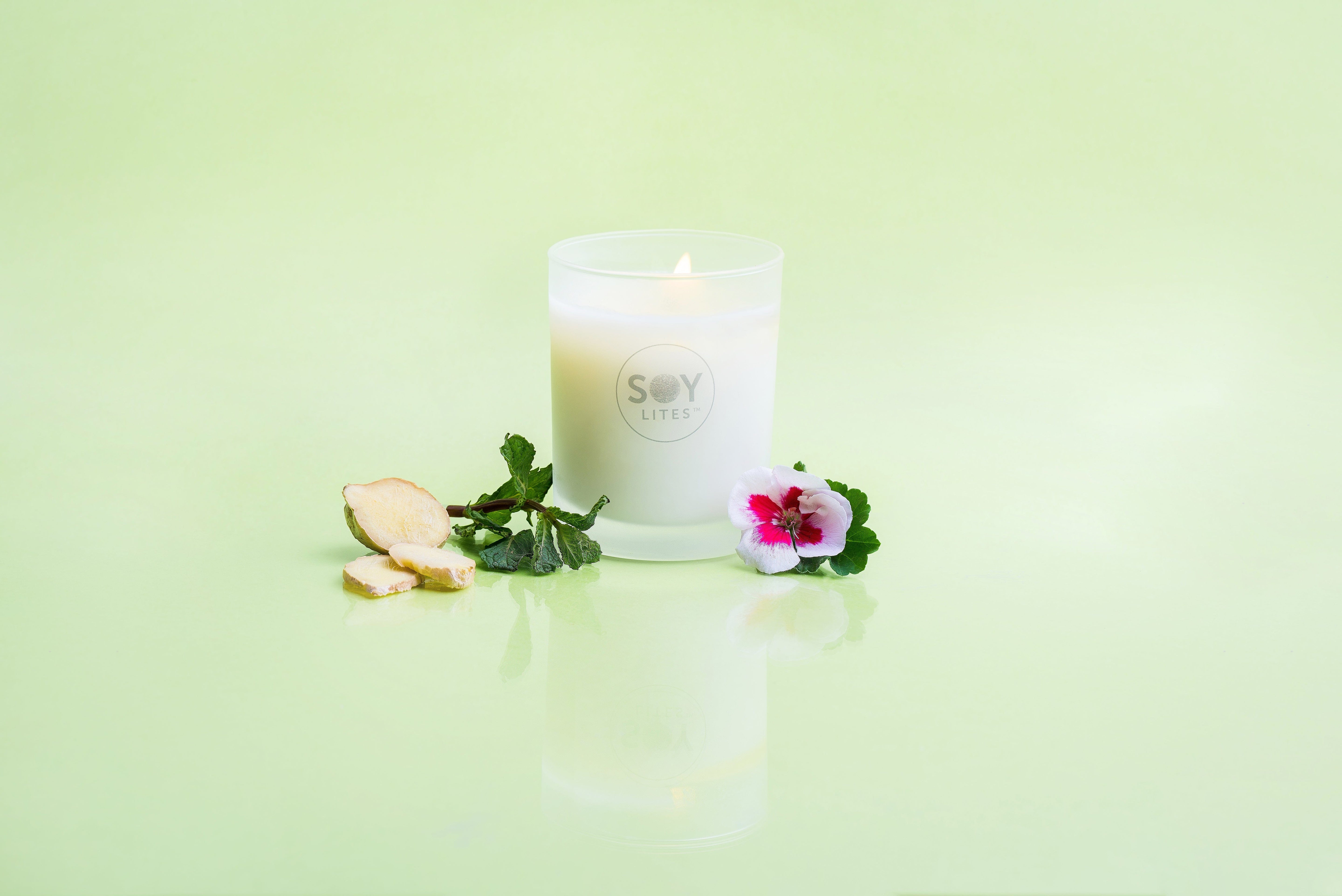 SoyLites Soy Aromatherapy Tumbler 220 ml Energise Tumbler Candle with Spearmint, Peppermint, Eucalyptus, Geranium & Ginger