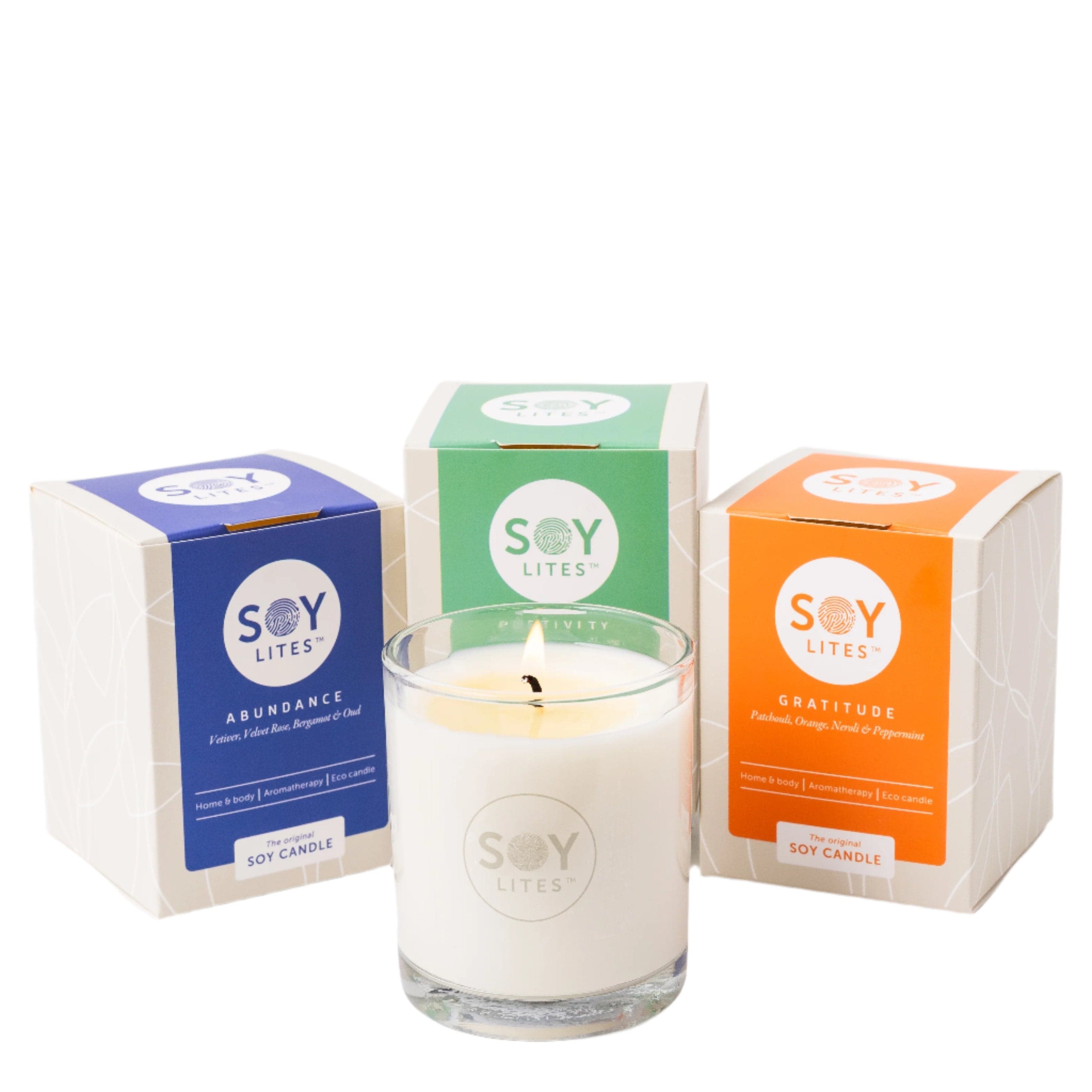 SoyLites Soy Aromatherapy Tumbler 220 ml Ignited Wellness Pack with Abundance, Gratitude, Positivity