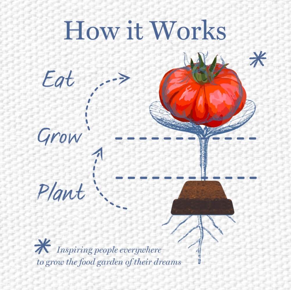 Sow Delicious Gin Herbs Slab of Seed