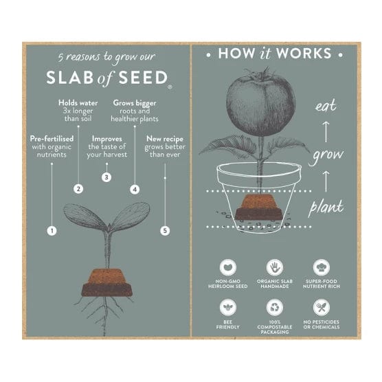 SoyLites Basil Slab of Seeds