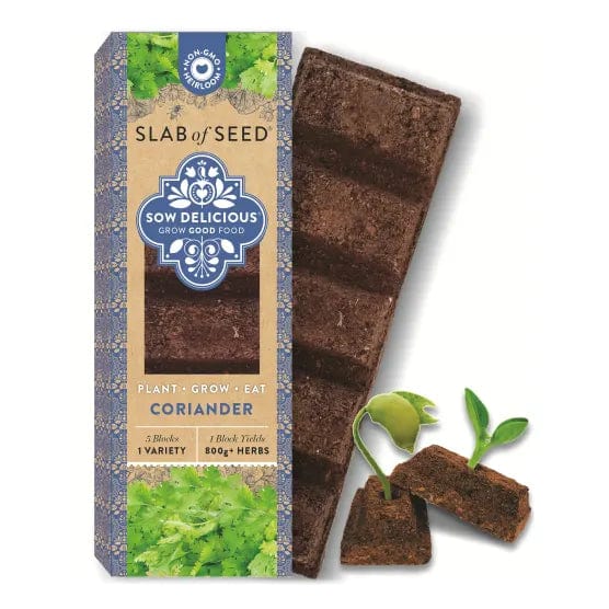 SoyLites Coriander Slab of Seeds