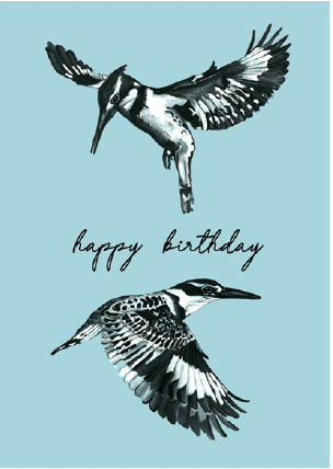 SoyLites Happy Birthday Pied Kingfisher