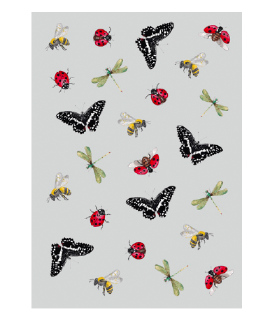 SoyLites Insects Gift Card